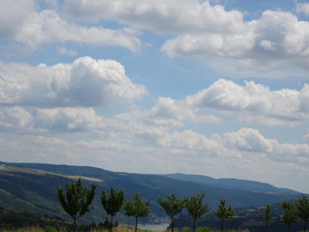 Landgasthaus Alter Posthof Halsenbach Esterno foto